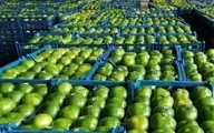 اتحادیه بارفروشان: چیدن نارنگی سبز متوقف شد | اجازه رنگ‌آوری به پرتقال را نمی‌دهیم | افزایش ۲۰ تا ۳۰ درصدی قیمت میوه نسبت به سال گذشته