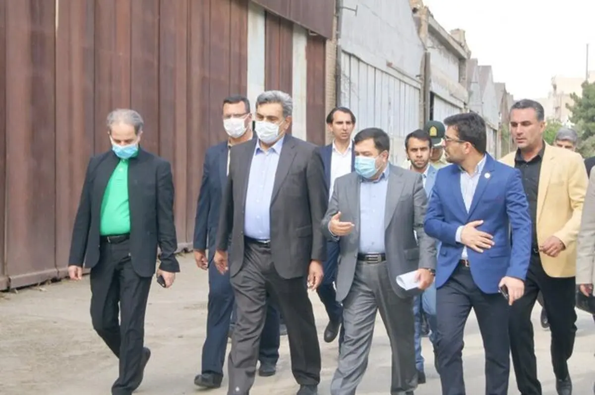  بازید حناچی از آشیانه های پرواز بوستان ولایت برای تبدیل به باغ موزه 