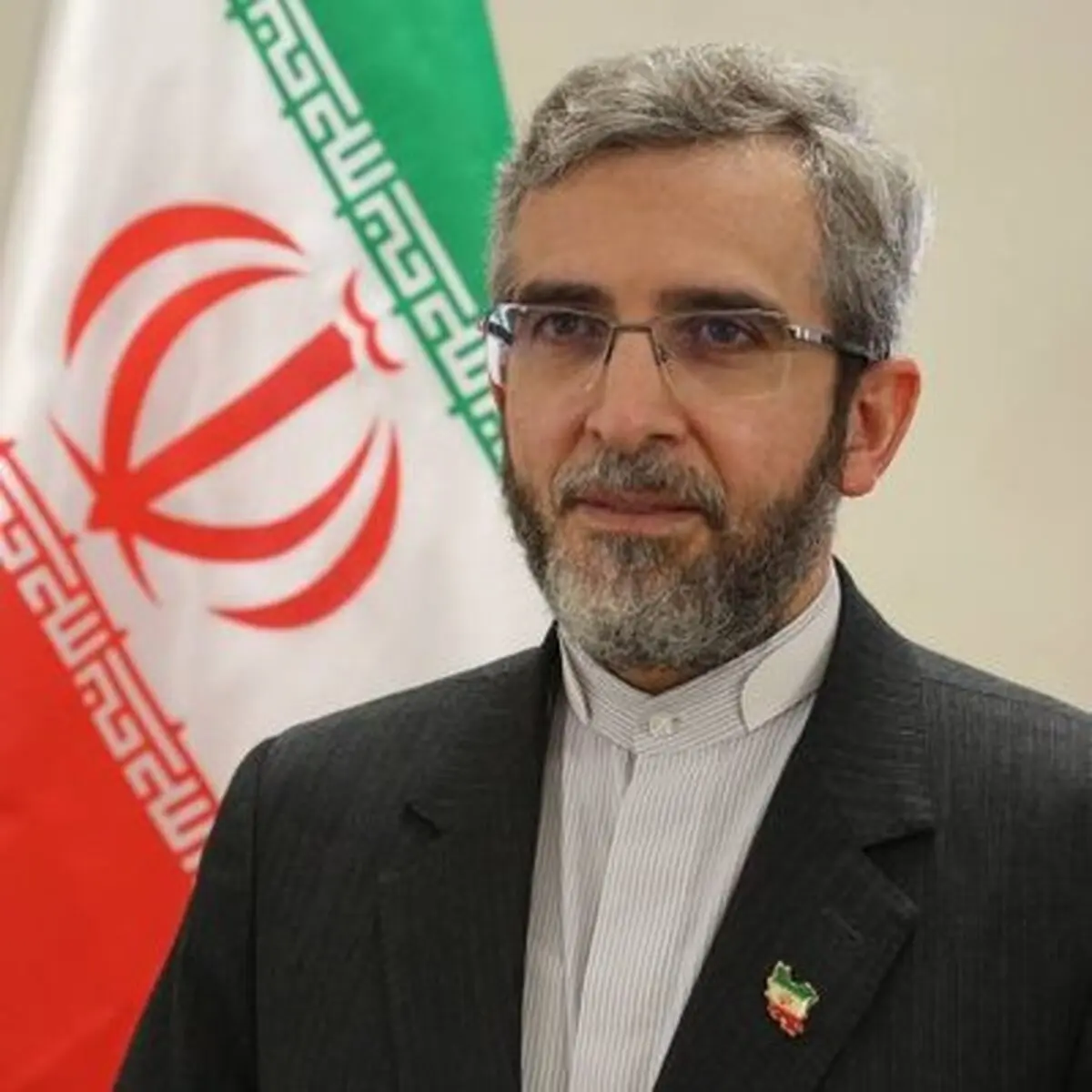 
کنایه تند جمهوری اسلامی به باقری کنی
