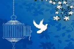 کمک ۲ میلیاردی خیّری در زنجان برای آزادای زندانیان 