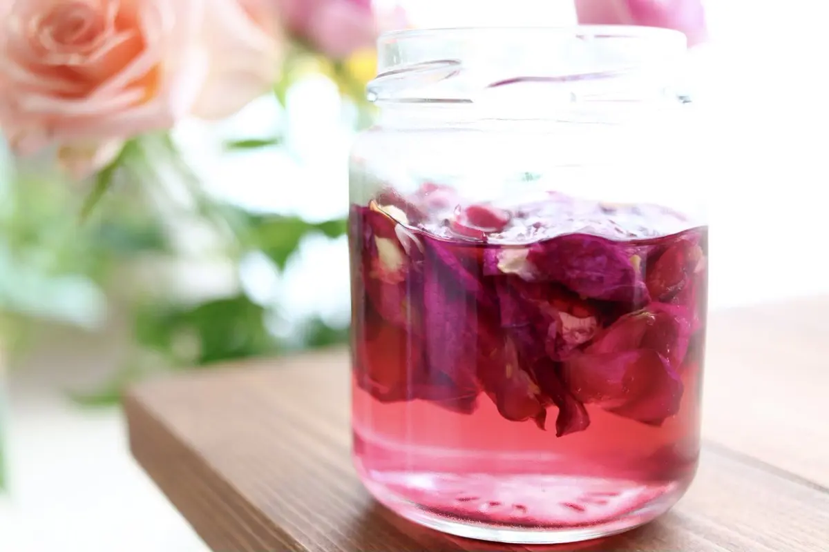 نوشیدنی گل سرخ، یک نوشیدنی خوشمزه و معطر برای تموم فصول! | طرز تهیه نوشیدنی گل سرخ +ویدئو