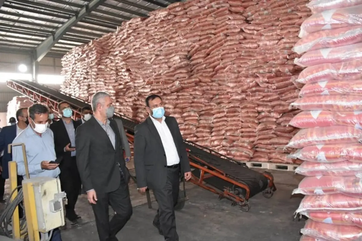 دستور ترخیص فوری محموله ۱۶ هزار تنی برنج وارداتی از بندرعباس صادر شد