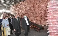 دستور ترخیص فوری محموله ۱۶ هزار تنی برنج وارداتی از بندرعباس صادر شد