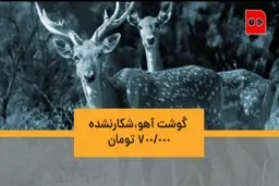 گوشت آهو، شکار نشده، ۷۰۰ هزار تومان! + ویدئو