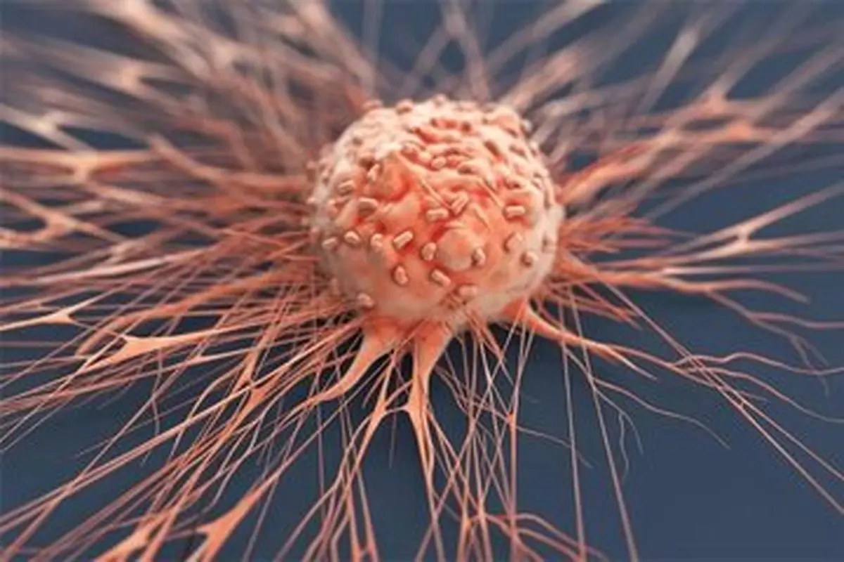 5 سپر قوی در برابر سلول سرطانی | این سلول مضر با مصرف این خوراکی‌ها تار و مار میشه!