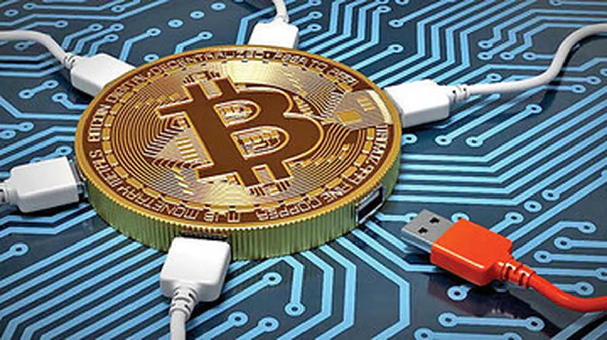 قطعی برق دامن تولیدکنندگان را گرفت
