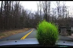 سفر افرادی که دو دوز واکسن زده‌اند شرط دارد