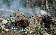 هشدار به افزایش احتمال آتش‌سوزی در عرصه‌های طبیعی 