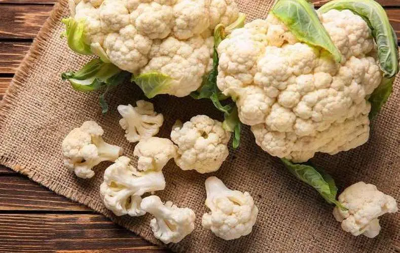 روش کاشت گل کلم در خانه | دیگه از بیرون گل کلم نخر 