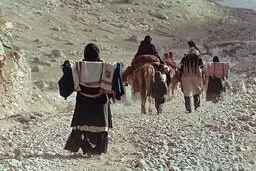 ارائه هرگونه وسایل پیشگیری از بارداری درمناطق عشایری ممنوع شد