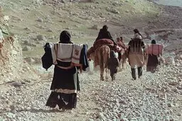 ارائه هرگونه وسایل پیشگیری از بارداری درمناطق عشایری ممنوع شد