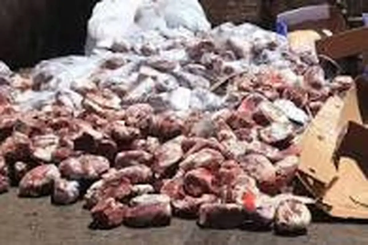  گوشت | 90 تن گوشت منجمد داخلی تاریخ گذشته کشف شد