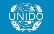 بهاروند با مدیرکل سازمان توسعه صنعتی ملل متحد دیدار کرد