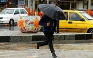هواشناسی | تهران این هفته بارانی می شود | پیش بینی پدر هواشناسی ایران از اولین برف امسال