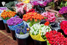 آیا وایتکس و یخ عمر گل را بیشتر می‌کند؟