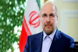 
هیچ کدام از نمایندگان به اندازه من در مجلس وقت نمی‌گذارند
