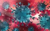 حجم کل ویروس کرونا در دنیا معادل یک قوطی نوشابه است