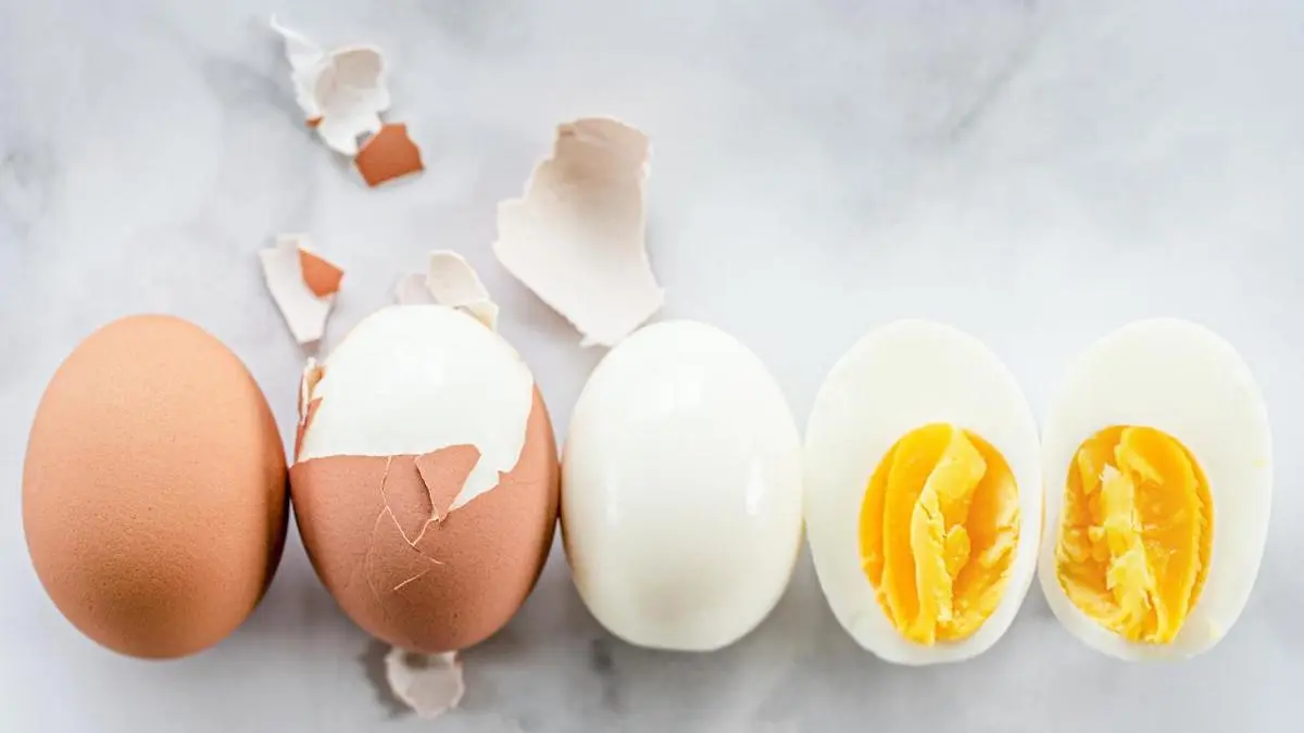 هر روز تخم مرغ خوردن خوبه یا بد؟! | تاثیر مصرف روزانه تخم مرغ بر سلامتی چیست؟