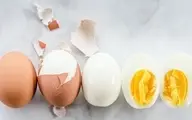 تمام عمر تخم مرغ رو اشتباه می‌پختی | طرز صحیح پخت تخم مرغ که احتمالا تا به حال نمی‌دونستی