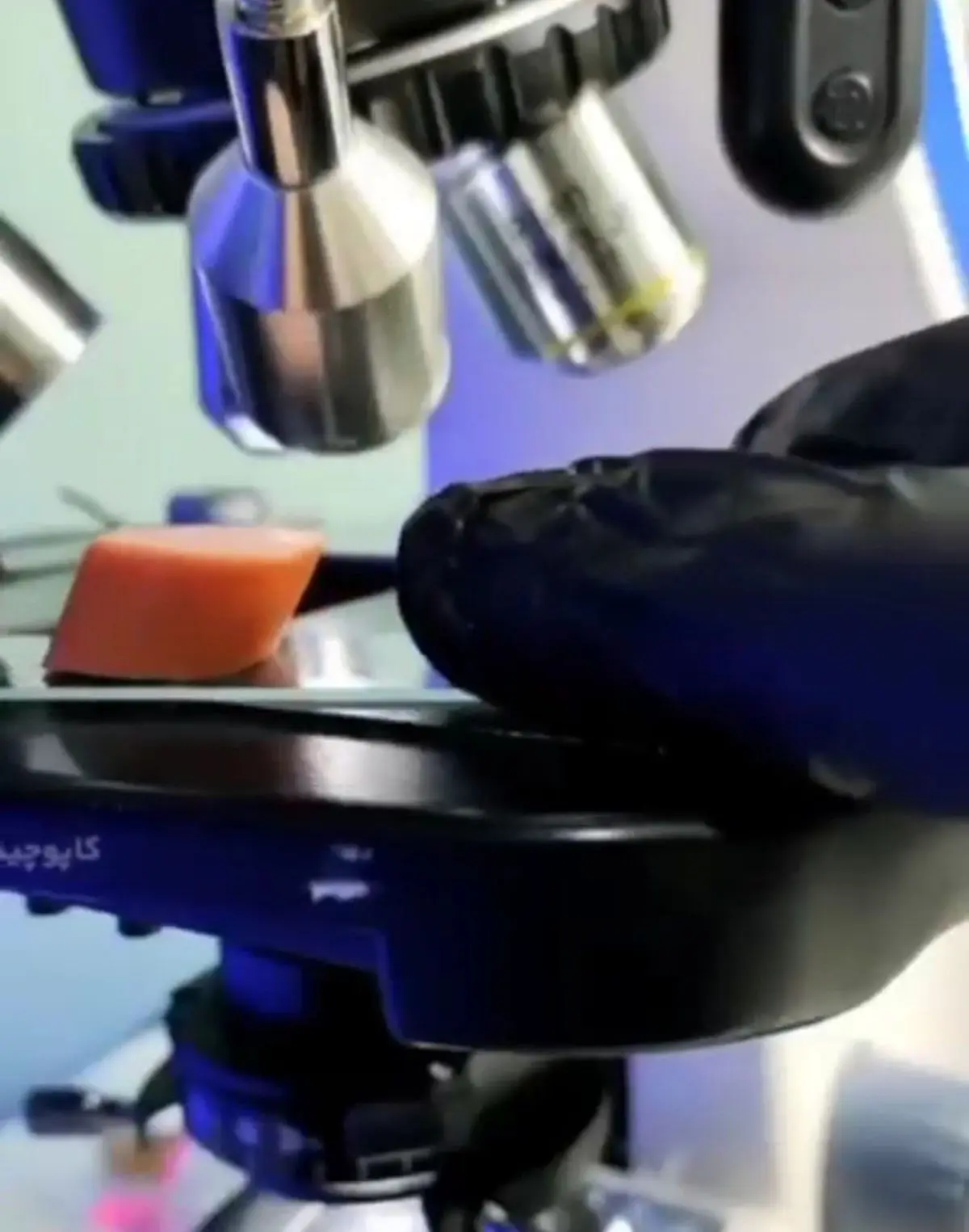 سوسیس و کالباس را زیر میکروسکوپ تماشا کنید+ویدئو 