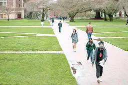 شوک به جامعه دانشگاهی ایالات‌متحده | دانشجویان خارجی از آمریکا دیپورت می‌شوند