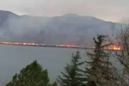 آتش سوزی گسترده نیزارهای دریاچه زریبار مریوان ادامه دارد