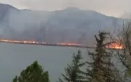 آتش سوزی گسترده نیزارهای دریاچه زریبار مریوان ادامه دارد