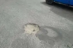 تخریبات ایجاد شده توسط پرندگان | حمله پرندگان به اصفهان