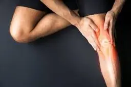 غضروف زانو | هیدروژلی که می‌تواند جایگزین غضروف طبیعی شود