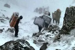 سایه مرگ بر سر مردم ایران! 