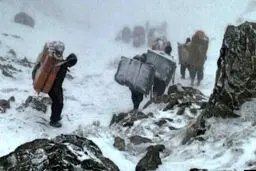 سایه مرگ بر سر مردم ایران! 