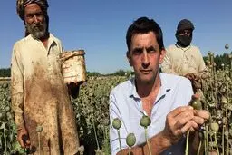  افزایش تولید تریاک در افغانستان و هروئین در جهان با انرژی خورشیدی