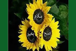 فال روزانه شخصی اول اردیبهشت + ویدئو