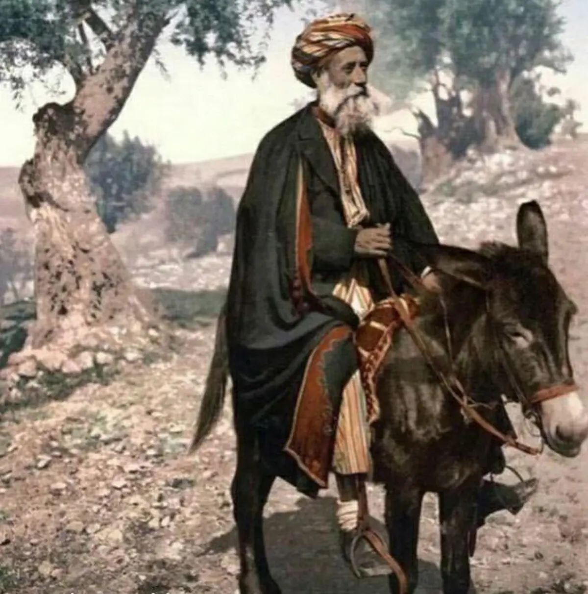 دو حکایت جالب از ملانصرالدین | داستان ما و گرانی‌ها!