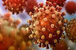 وزیر بهداشت: هر نوع سرماخوردگی را جدی بگیرید | موج جدید کرونا مجدد افزایشی شد