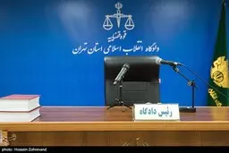 فرصت‌ها و چالش‌های دادگاه‌های ویژه اقتصادی