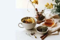 دمنوش‌ های انرژی زا و نشاط آور خانگی برای صبح | با این دم نوش ها از کسلی و خستگی خلاص شو +طرز تهیه