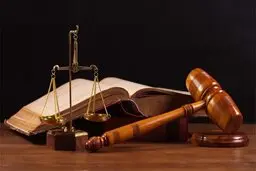 ۹۹ درصد سپرده مالباختگان موسسات مالی تسویه شد

