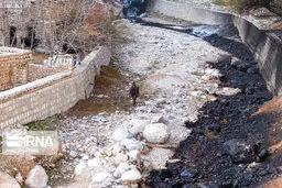  ۴۶ میلیارد تومان خسارت وارد شده است