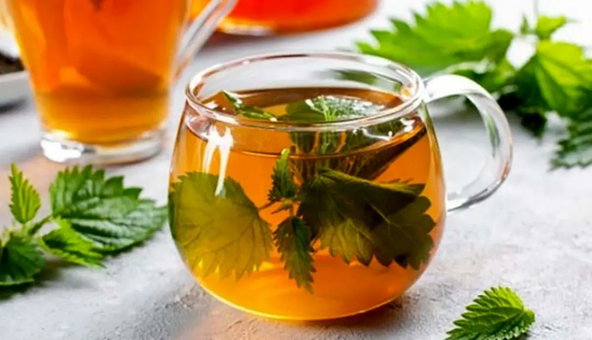 با نوشیدن این دمنوش سنگ کلیه خود را صبح خرد و شب دفع کنید!