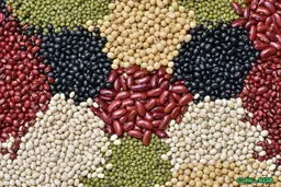 جزئیات جدید از قیمت حبوبات در بازار