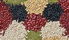 جزئیات جدید از قیمت حبوبات در بازار