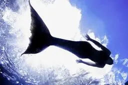 فیلمی پر از ابهام  | آیا این فیلم واقعی است؟ | پری دریایی که این بار خیلی زشت است + ویدئو