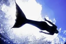 فیلمی پر از ابهام  | آیا این فیلم واقعی است؟ | پری دریایی که این بار خیلی زشت است + ویدئو