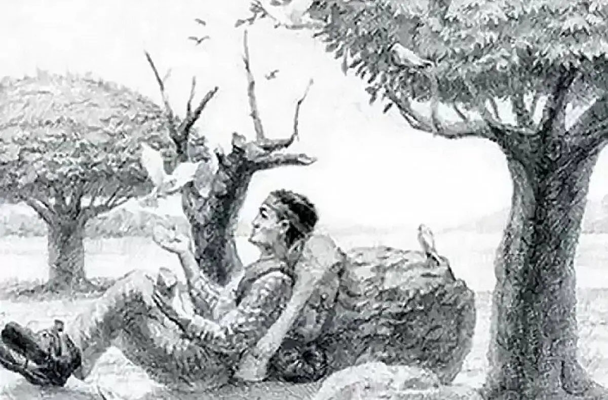 تست بینایی | باهوش ها اسب را در این تصویر پیدا کنند + پاسخ