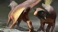 زنده کردن دایناسور ها ممکن شد! 