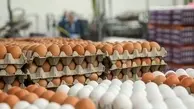 قیمت جدید تخم مرغ اعلام شد | تخم مرغ به شدت گران شد