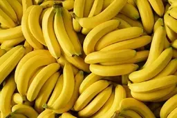 ماجرای عجیب استعمار آمریکایی درخت موز! | این موزی که می‌خوریم، موز واقعی نیست!