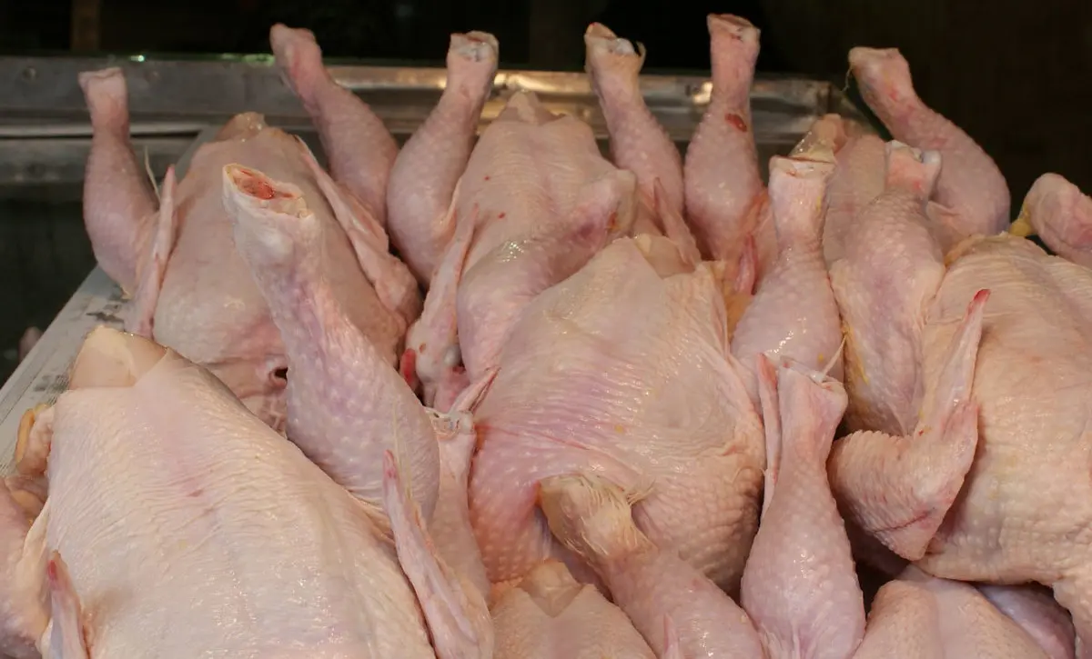 
 صادرات گوشت مرغ ممنوع شد