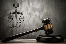 
چالش بازکردن درهای مراجع قضائی به روی نمایندگان
